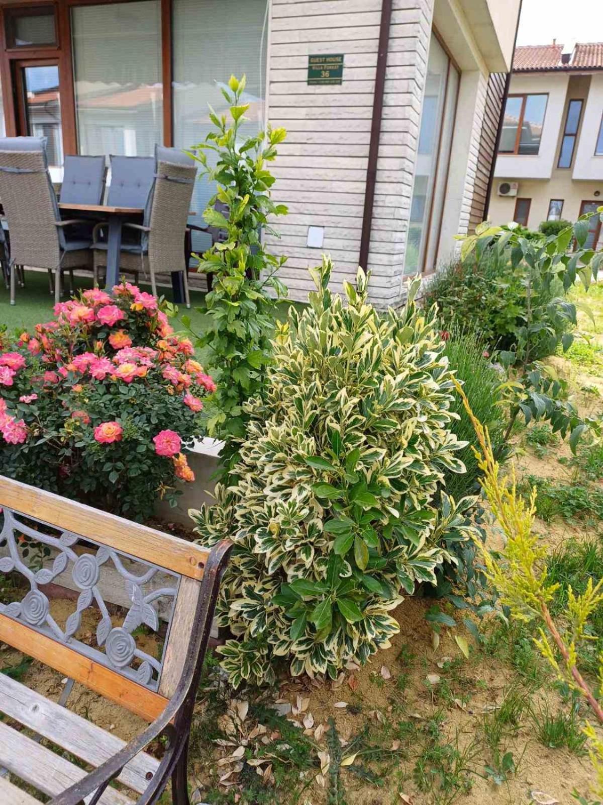 Lighthouse 3 Bedrooms Villa F36 Balchik Luaran gambar